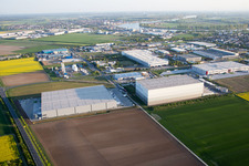 Luftbild von Industrie- und Gewerbegebiet NO mit Grieshaber Logistic Group AG in Biebesheim am Rhein im Bundesland Hessen, Deutschland