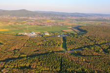 Open Grid Europe GmbH im Ortsteil Allmendfeld in Gernsheim im Bundesland Hessen, Deutschland