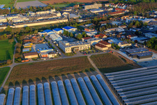 Hope Media Europe e.V im Ortsteil Sandwiese in Alsbach-Hähnlein im Bundesland Hessen, Deutschland