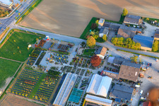 Lindenhof Blumen im Ortsteil Auerbach in Bensheim im Bundesland Hessen, Deutschland
