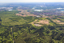 Palatinum Landschafts u. Gartendesign in Hagenbach im Bundesland Rheinland-Pfalz, Deutschland