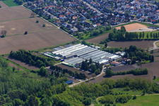 Geranien Endisch in Hagenbach im Bundesland Rheinland-Pfalz, Deutschland