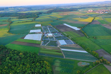Gartenbau Dieter Denzer in Grettstadt im Bundesland Bayern, Deutschland