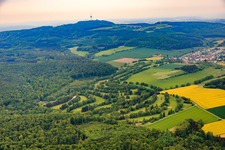 Golfclub Weserbergland e.V. aus Norden in Polle im Bundesland Niedersachsen, Deutschland