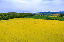 Luftbild von Rapsfeld XL im Ortsteil Güntersen in Adelebsen im Bundesland Niedersachsen, Deutschland