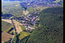 Pfalzklinikum für Psychiatrie und Neurologie aus Norden in Klingenmünster im Bundesland Rheinland-Pfalz, Deutschland