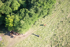 Neewiller-près-Lauterbourg im Bundesland Bas-Rhin, Frankreich aus der Luft betrachtet