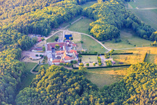 Pferdepension auf dem Kloster Liebfrauenberg in Bad Bergzabern im Bundesland Rheinland-Pfalz, Deutschland von oben gesehen