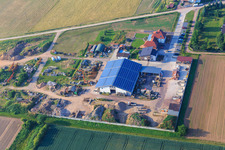 Ottersheimer Queichtalbären in Ottersheim bei Landau im Bundesland Rheinland-Pfalz, Deutschland