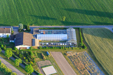 Gärtnerei Felix Trauth in Hatzenbühl im Bundesland Rheinland-Pfalz, Deutschland