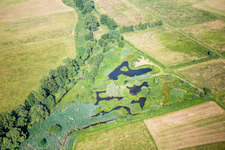 Tümpel und Morast- Wasseroberfläche in einer Teichlandschaft in Knittelsheim im Bundesland Rheinland-Pfalz, Deutschland