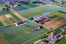 Luftaufnahme von Aussiedlerhöfe am Wingertsberg von  Kerner Andreas und Detzel GbR - Lagerhalle in Herxheim bei Landau im Bundesland Rheinland-Pfalz, Deutschland