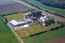 Luftaufnahme von Fussballgolfpark Südpfalz im Adamshof Kandel im Bundesland Rheinland-Pfalz, Deutschland