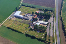 Schrägluftbild von Fussballgolfpark Südpfalz im Adamshof Kandel im Bundesland Rheinland-Pfalz, Deutschland