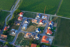 Luftbild von Neubaugebiet Frankenring in Kleinfischlingen im Bundesland Rheinland-Pfalz, Deutschland