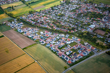 Neubaugebiet Am Steinsteg, Trifelsblick in Bornheim im Bundesland Rheinland-Pfalz, Deutschland