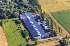 Luftbild von Pappelallee mit ConFas GmbH und  Strasser Haustechnik im Ortsteil Schaidt in Wörth am Rhein im Bundesland Rheinland-Pfalz, Deutschland