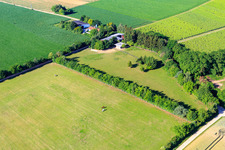 Luftaufnahme von Koppel von Trakehner-Friedrich in Minfeld im Bundesland Rheinland-Pfalz, Deutschland
