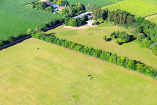 Schrägluftbild von Koppel von Trakehner-Friedrich in Minfeld im Bundesland Rheinland-Pfalz, Deutschland