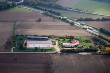 Eierfarm in Erlenbach bei Kandel im Bundesland Rheinland-Pfalz, Deutschland