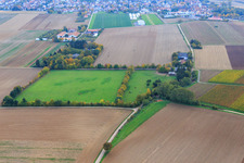 Koppel von Trakehner-Friedrich in Minfeld im Bundesland Rheinland-Pfalz, Deutschland von oben