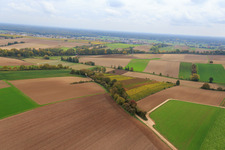Weinberge am Fassbrunnen in Freckenfeld im Bundesland Rheinland-Pfalz, Deutschland