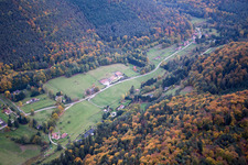 Dambach im Bundesland Bas-Rhin, Frankreich