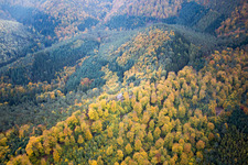 Luftaufnahme von Dambach im Bundesland Bas-Rhin, Frankreich