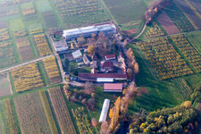 Gebäudekomplex des Julius Kühn-Institut Rebforschungsanstalt Geilweilerhof in Siebeldingen im Bundesland Rheinland-Pfalz, Deutschland