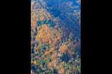 Luftbild von Naturfreundehaus Kiesbuckel in Frankweiler im Bundesland Rheinland-Pfalz, Deutschland