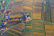 Luftbild von Hotel Leinsweiler im Herbstlaub Hof im Bundesland Rheinland-Pfalz, Deutschland