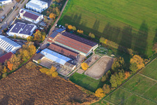 Pferdetrainer Oliver Wehnes im Ortsteil Minderslachen in Kandel im Bundesland Rheinland-Pfalz, Deutschland