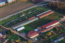 Holzlager an der Klärstr in Kandel im Bundesland Rheinland-Pfalz, Deutschland
