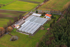 Kakteenland Steinfeld im Bundesland Rheinland-Pfalz, Deutschland