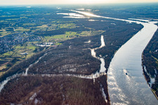Auer Köpfle Illinger Altrheinauen in Au am Rhein im Bundesland Baden-Württemberg, Deutschland
