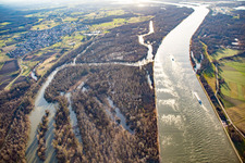 Luftbild von Auer Köpfle Illinger Altrheinauen in Au am Rhein im Bundesland Baden-Württemberg, Deutschland