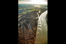 Luftaufnahme von Auer Köpfle Illinger Altrheinauen in Au am Rhein im Bundesland Baden-Württemberg, Deutschland