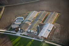 Luftaufnahme von Oberlauterbach im Bundesland Bas-Rhin, Frankreich