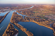 Ilingen, Goldkanal in Elchesheim-Illingen im Bundesland Baden-Württemberg, Deutschland