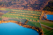 Winterliche Uferbereiche am Seegebiet des Kiesweier mit Pappelbaumreihen und Hochspannungsleitung im Abendlicht in Durmersheim im Bundesland Baden-Württemberg, Deutschland