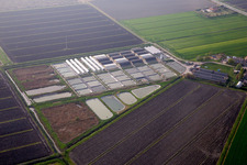 Tierzucht- Stallanlagen Schweinezucht für die Schweinefleischproduktion kombiniert mit Fischzuchtbecken in Codigoro in Emilia-Romagna im Bundesland Ferrara, Italien