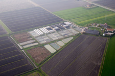 Codigoro(I-Emila-Romana) im Bundesland Ferrara, Italien