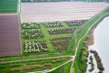 Pellestrina(I-Veneto) im Bundesland Venetien, Italien