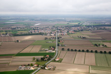 Bosco Mesola (I-Emilia-Romagna) im Bundesland Ferrara, Italien