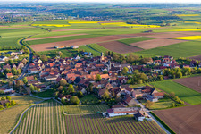 Luftbild von Ortsteil Neuses am Berg in Dettelbach im Bundesland Bayern, Deutschland
