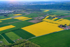 Umweltstation Reichelshof in Sennfeld im Bundesland Bayern, Deutschland