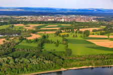 Luftbild von Naturschutzgebiet Biedensand am Lampertheimer Althrein im Bundesland Hessen, Deutschland