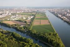 Luftbild von BASF Friesenheim im Ortsteil Neckarstadt-West in Mannheim im Bundesland Baden-Württemberg, Deutschland