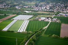 Schrägluftbild von Ortsteil Auerbach in Bensheim im Bundesland Hessen, Deutschland