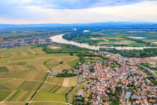 Luftbild von Stadtansicht zwischen Weinbergen und Rhein in Oppenheim im Bundesland Rheinland-Pfalz, Deutschland